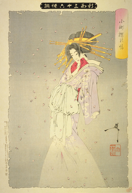 小町桜の情