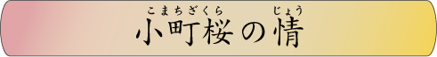 小町桜の情